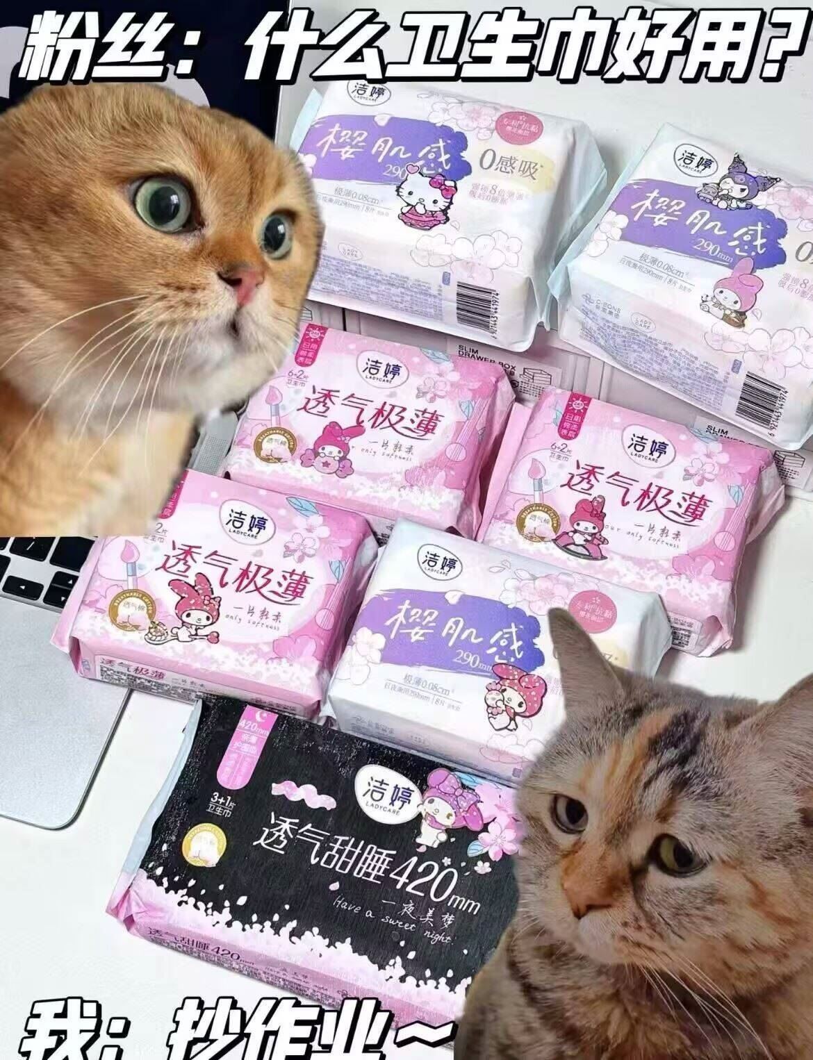 洁婷卫生巾透气日夜用