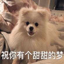 群二维码