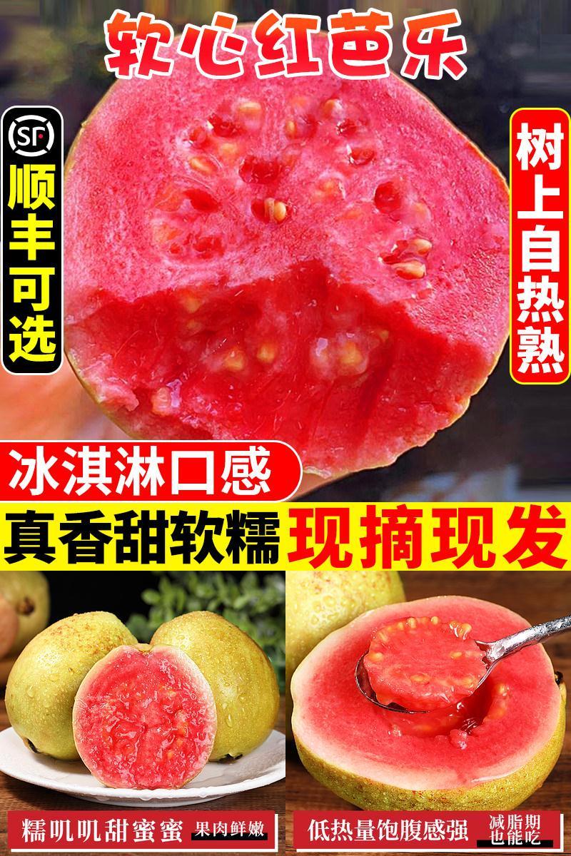 抢！广西软糯红心芭乐10斤包邮