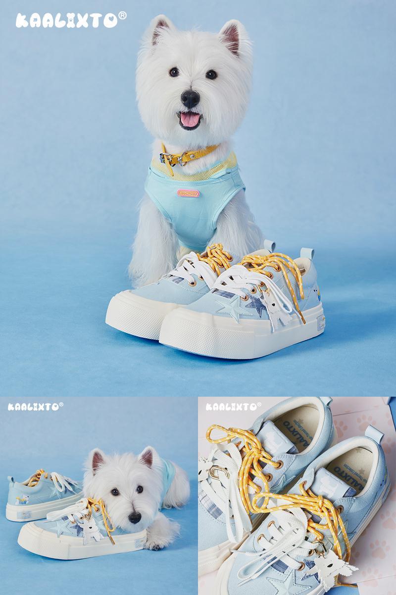 新款休闲百搭厚底增高帆布鞋