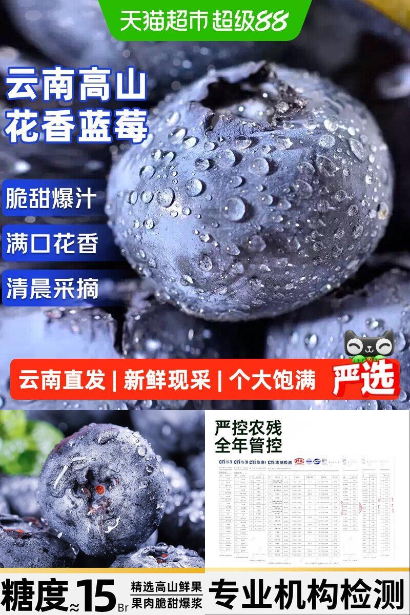 寻天果蔬当季高山蓝莓脆甜多汁