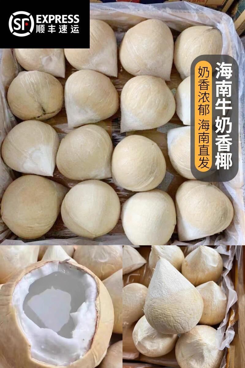顺丰速运 三亚牛奶香椰子海南小奶椰芋奶香芋头香新鲜水果椰皇