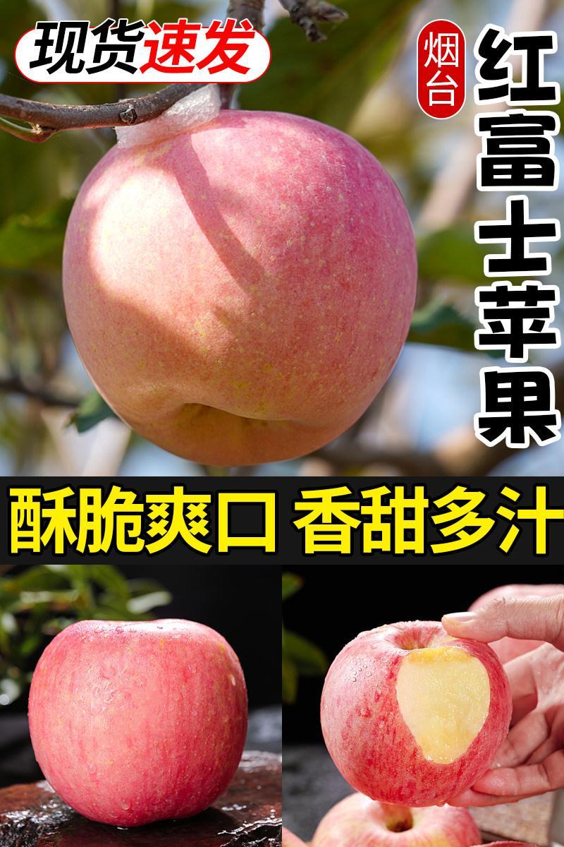 5斤正宗烟台红富士苹果整箱包邮
