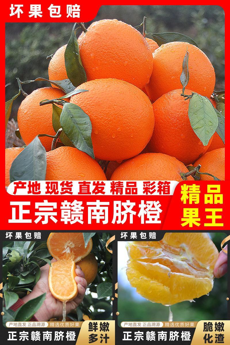 正宗赣南脐橙精品果产地认证