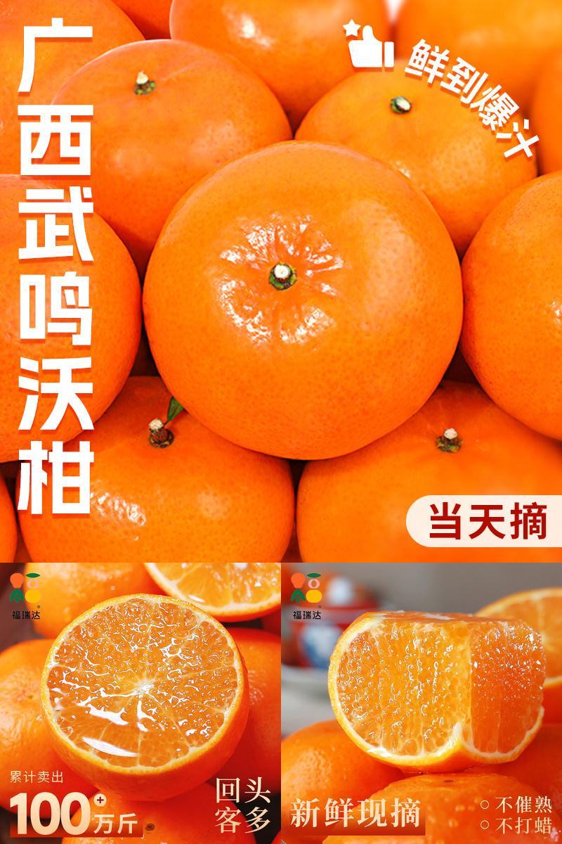 「官方推荐」新鲜现摘沃柑！现货