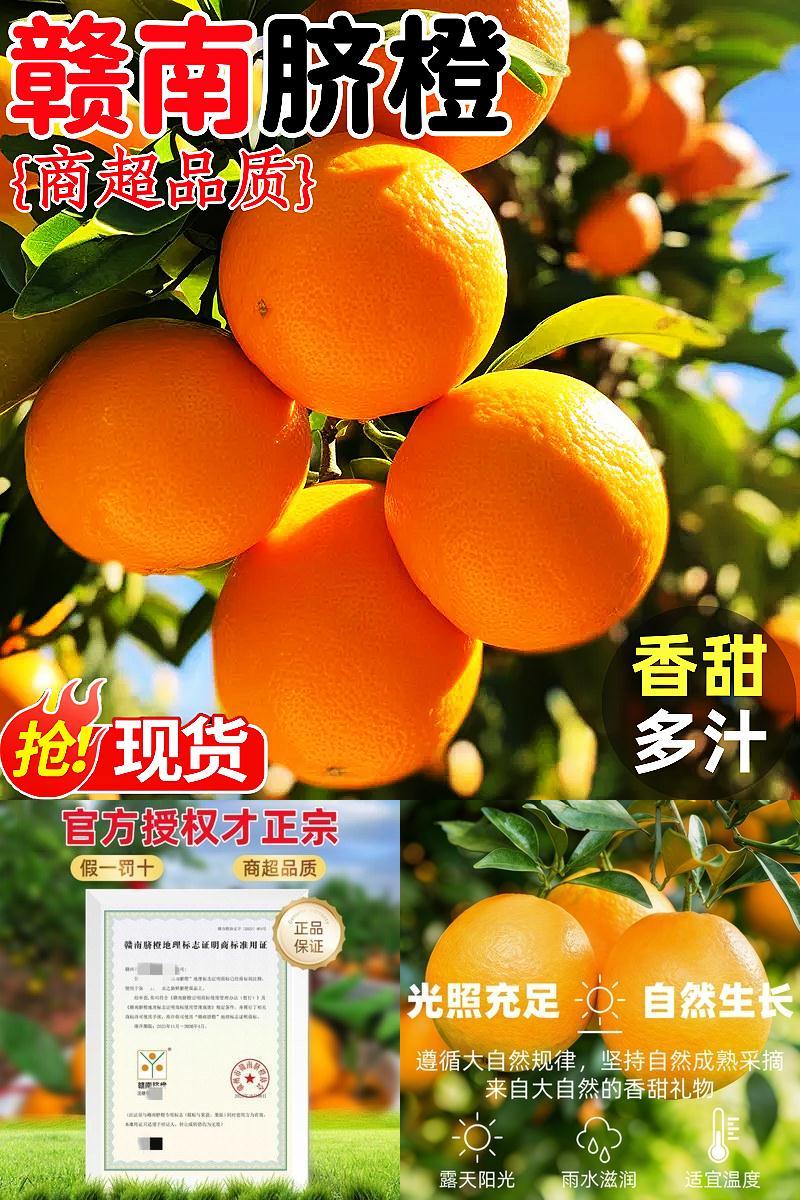 江西赣州产地直发9斤赣南脐橙