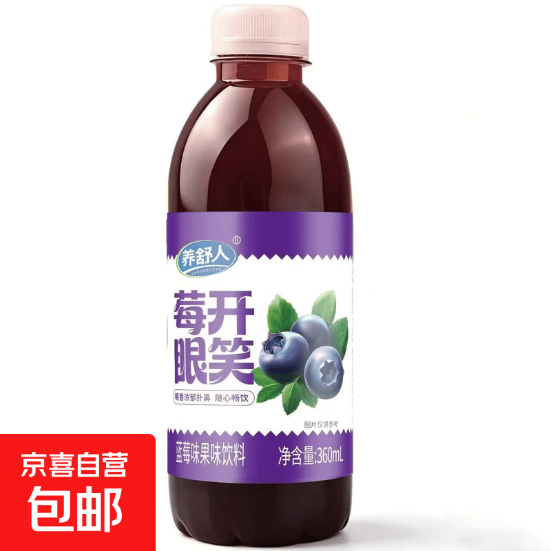 zs棒冰碎碎冰 小青柠汁 芒果汁 猕猴桃汁 果味果汁饮料 蓝莓汁360ml*2