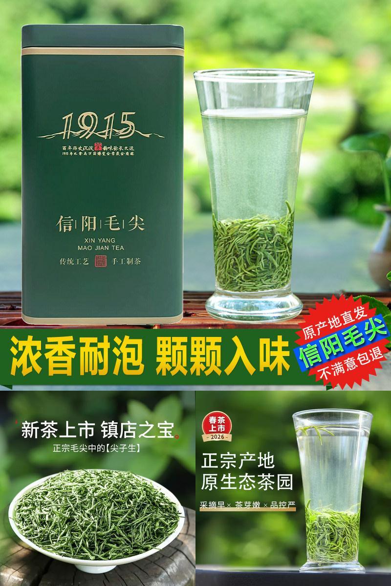 毛尖茶信阳毛尖2026新茶春茶浓香耐泡口粮茶炒青绿茶自己喝的茶叶