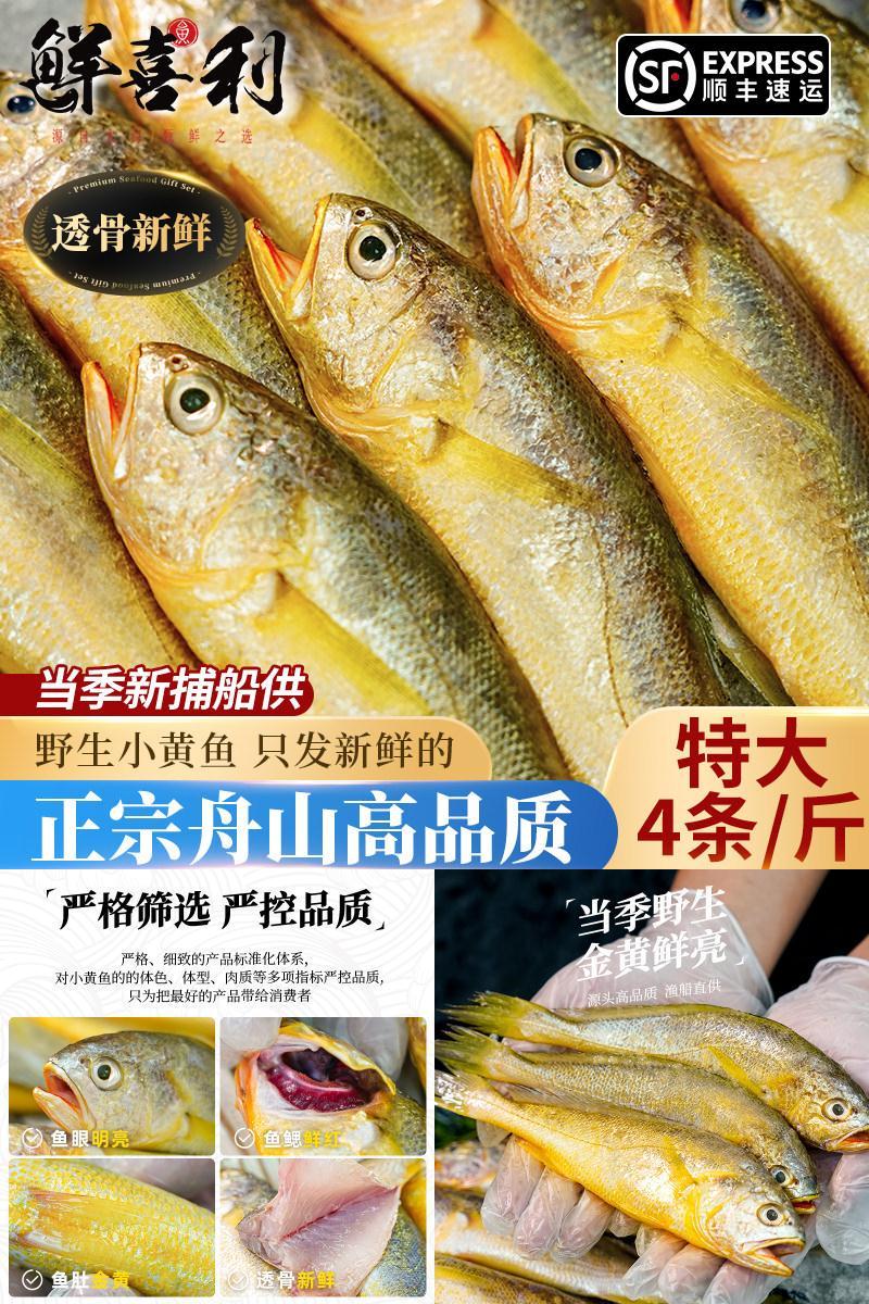 【3斤新捕船供】舟山野生小黄鱼