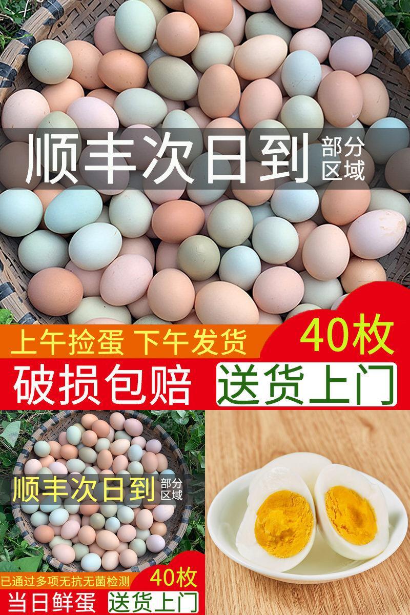 林下散养破损包赔只发当日鲜蛋