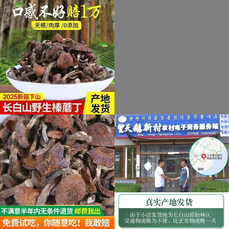 东北长白山野生榛蘑丁臻蘑特级