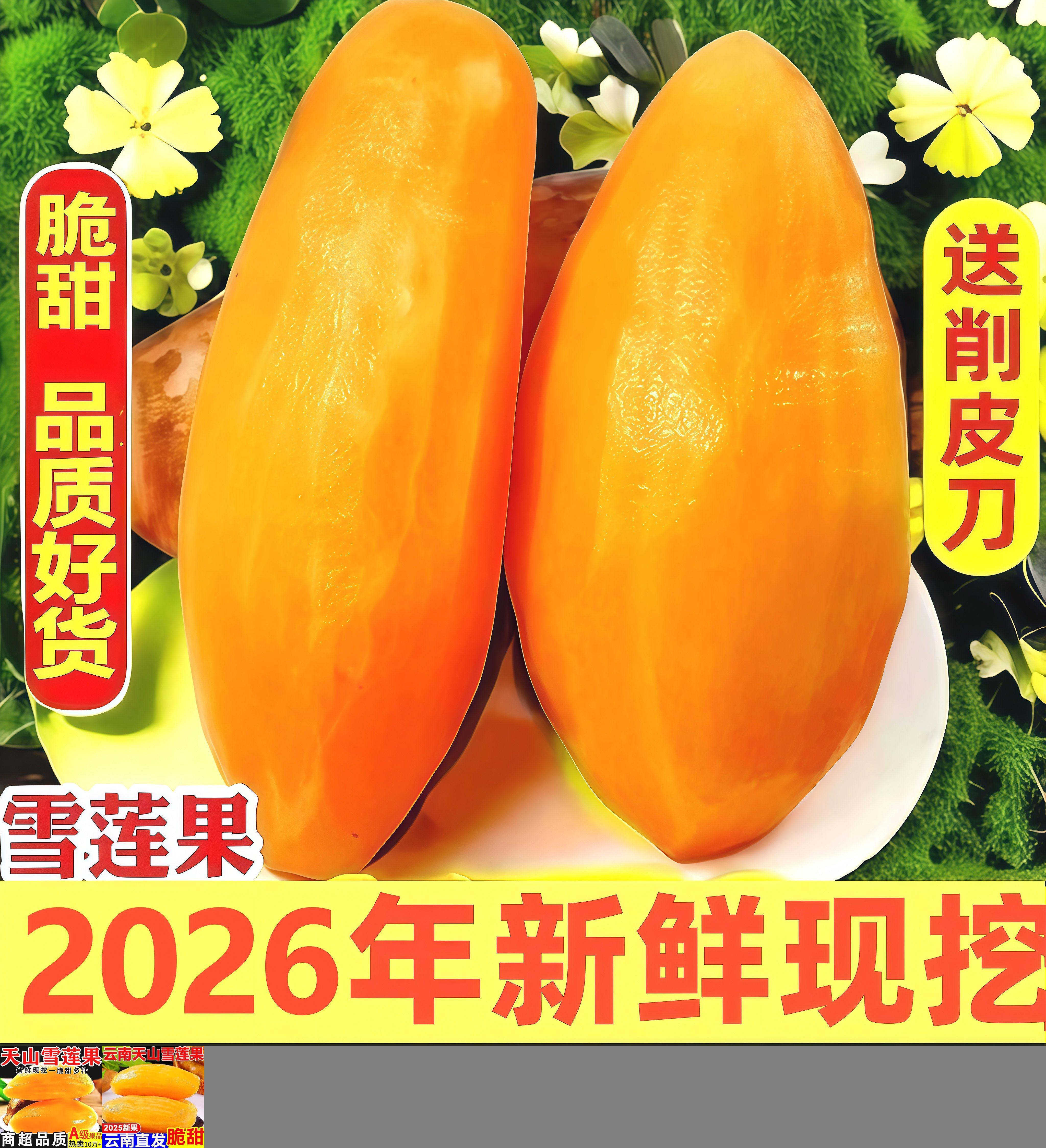 新鲜现挖!雪莲果甜脆多汁