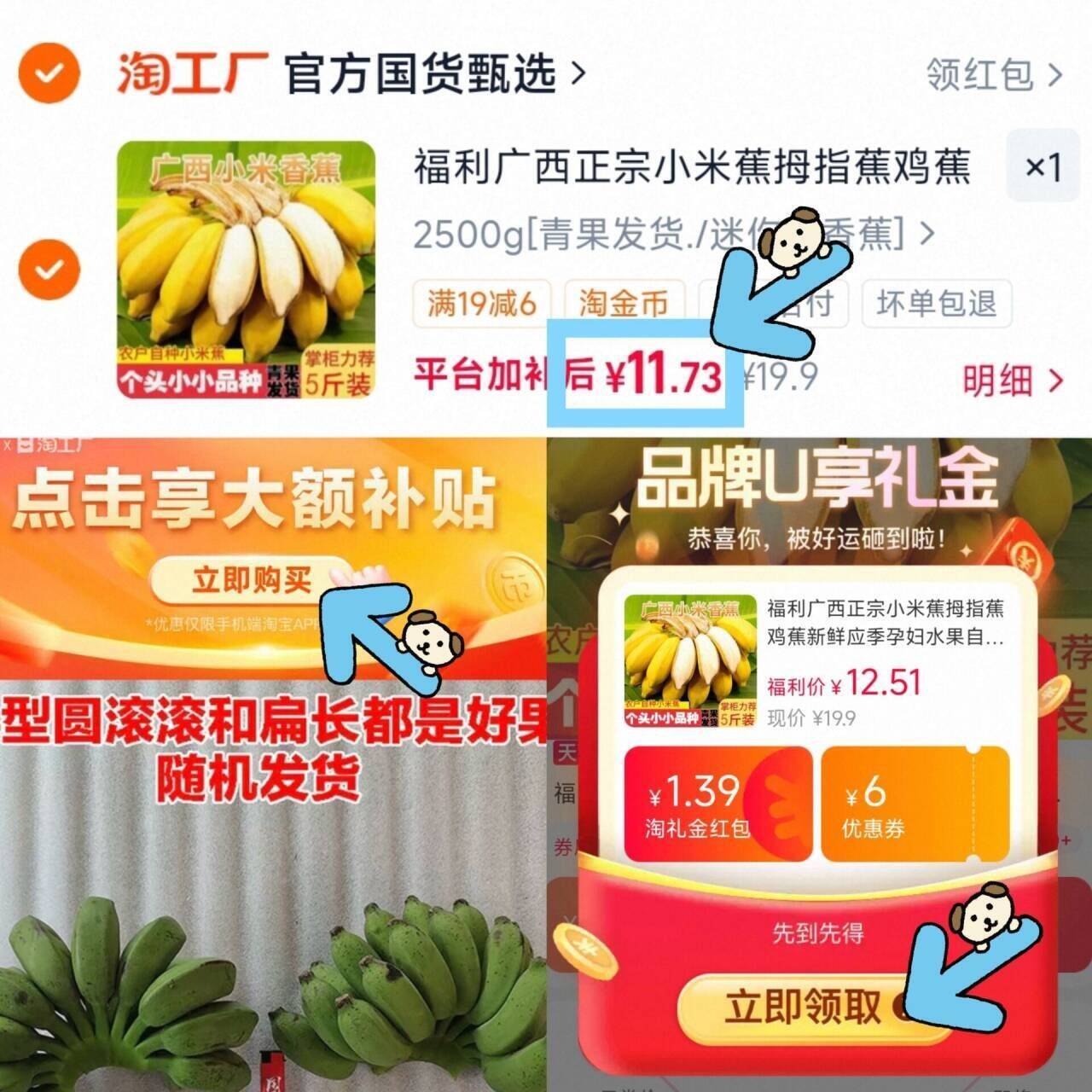 福利广西正宗小米蕉拇指蕉鸡蕉新鲜应季孕妇水果自然熟各地现摘