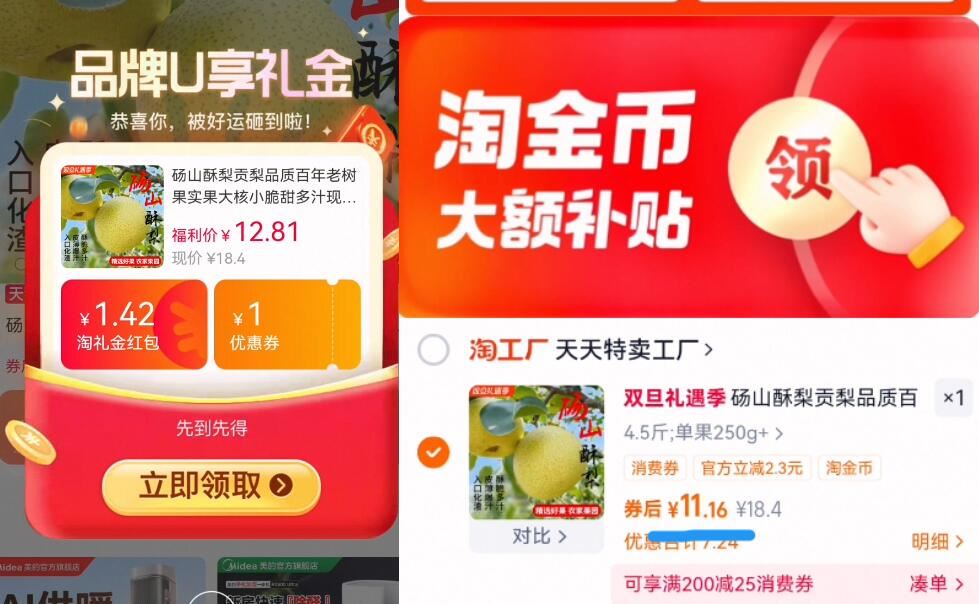 砀山酥梨贡梨品质百年老树果实果大核小脆甜多汁现摘现发产地直销