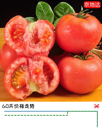 【7折】京地达山东新鲜口感西红柿 净重4.5斤 单果100g 新鲜番茄 源头直发包邮https://u.jd.com/U6c1GJi----多半有货 | 下1件最优到手单价：23.4 -> 【16.6】