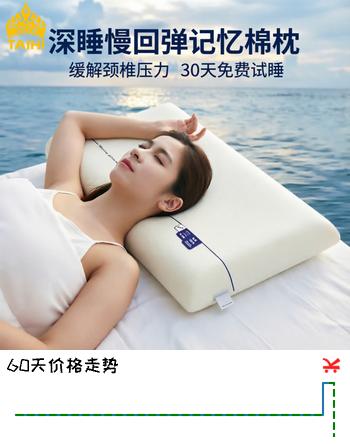 泰嗨 枕头颈椎枕芯睡眠慢回弹颈椎专用枕头记忆棉枕护颈枕芯酒店宿舍 护颈记忆绵枕【一对装】 70*42*10 CM