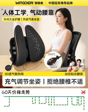 智国者人体工学腰靠护腰久坐神器腰部靠背垫托枕办公室座椅子汽车用支撑