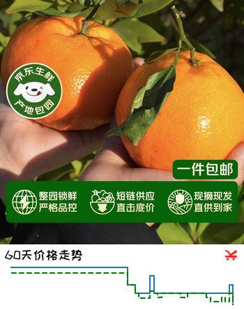 京鲜生 四川春见耙耙柑 净重4.5-5斤年货礼盒 单果170g+ 源头直发包邮