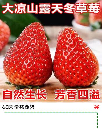 千园九味四川大凉山草莓 新鲜水果甜奶油草莓红颜99 生鲜鲜果礼盒送礼整箱 3斤（净重2.5斤）单果12g+优选装