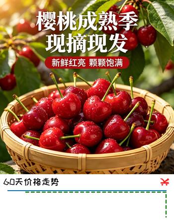鲁禧海岸头茬樱桃山东水果大礼盒国产车厘子多规格产地冷链保鲜京东速达 5斤(净重) 家庭装丨宴请宾客 精品果单果22-26mm丨性价推荐