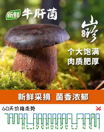京鲜生云南【新鲜黑牛肝】净重1斤特产鲜菌菇煲汤火锅食材源头直发