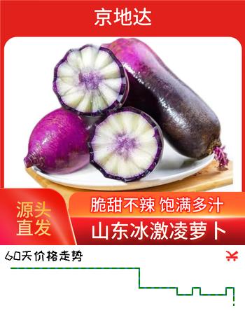 京地达山东冰激凌紫萝卜净重4.5斤 单果300g+新鲜蔬菜 源头直发包邮