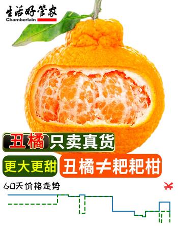 生活＆好管家四川不知火丑橘新鲜水果桔橘子丑柑丑八怪柑橘 4.5-5斤【超划算】净重4.5斤 果径80-85mm【大果】