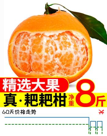 生活＆好管家 四川春见耙耙柑爆浆大果新鲜水果礼盒应季橘子现摘柑橘子桔子 8.5-9斤【性价比高-全家爽吃】净重8斤 果径90mm+【超大果】