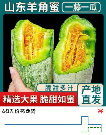 洮小婵山东羊角蜜甜瓜 新鲜当季应季时令水果 脆甜蜜瓜香瓜整箱 带箱5斤 单果250g+ 净重4.5斤