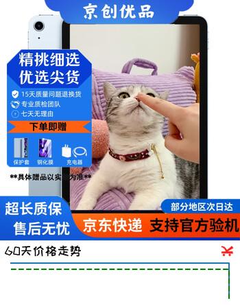 Apple苹果iPad mini5/6 iPadair3/4 2021款iPadPro二手平板电脑 iPad Air4 插卡 256G WIFI版 95成新