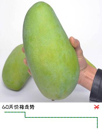 张小壮 芒果 大青芒 大芒果现摘青皮黄皮芒果新鲜水果 源头直发 8斤精选单果450g