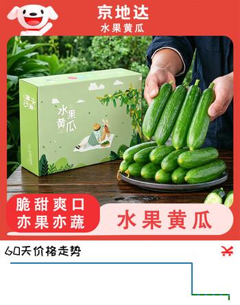 京地达山东荷兰水果黄瓜 净重5斤 单果约100g+ 水果礼盒 源头直发包邮