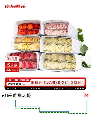京东鲜花玫瑰花随机颜色20枝(1-2种颜色)40cm基地鲜切花生活花束源头直发