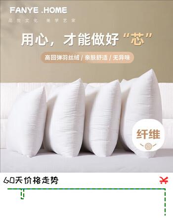 范爷家抱枕芯内胆沙发靠垫芯45*45cm汽车方垫芯床头办公室抱枕芯