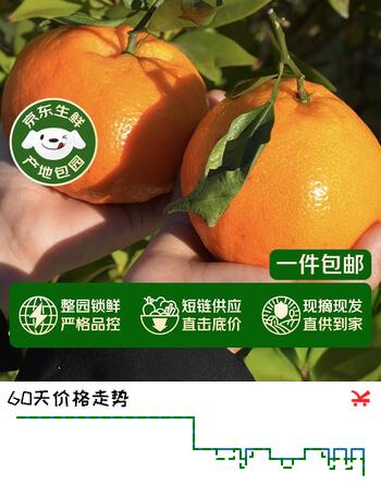 京鲜生 四川春见耙耙柑 净重8.5-9斤年货礼盒 单果270g+ 源头直发包邮