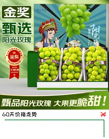 东鲜丰云南阳光玫瑰葡萄青提晴王香印水果现摘现发 净重4斤【单果8g+】