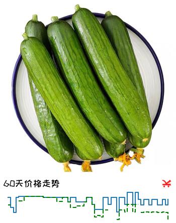 京鲜生 山东水果黄瓜 净重3斤 单果70g+ 青瓜荷兰瓜 源头直发