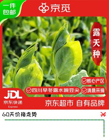 京觅四川新鲜露水豌豆尖净重3斤 豌豆苗菜脆甜嫩新鲜现摘源头直发包邮