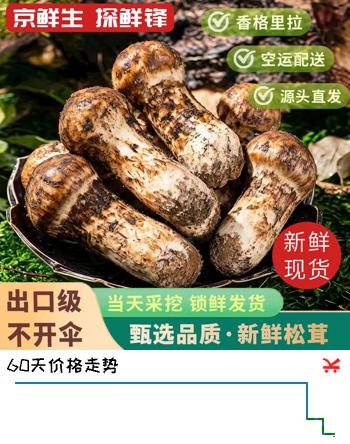 【9折】京鲜生探鲜锋云南新鲜松茸净重500g单12-15cm空运出口级源头直发包邮https://u.jd.com/x6ut35Q----多半有货 | 下1件最优到手单价：589 -> 【569】