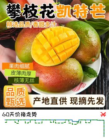 京鲜生四川凯特 净重4.5斤装 单果600g+ 新鲜芒果水果 源头直发