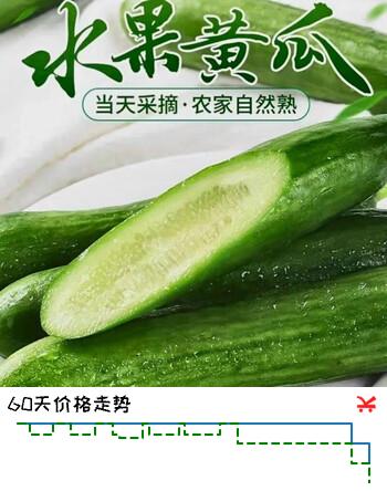 京鲜生山东荷兰水果黄瓜 净4.5斤 单果70g+ 减脂必备源头直发