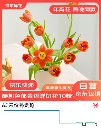 京东鲜花跨晚同款-郁金香鲜花10枝盲盒款（品种随机）源头直发
