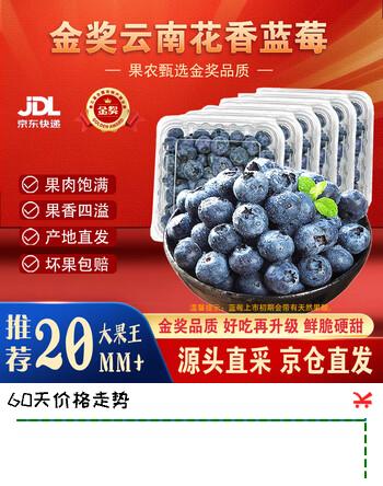 余悦云南花香蓝莓【JD/邮政空运-多地次日达】产地直发超大果整箱送礼 2盒【单果15mm+】125g/盒(净100g)
