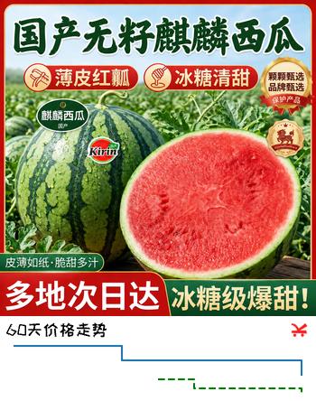 RONGXIAN麒麟西瓜【闪送-多地次日达】新鲜水果当季薄皮无籽冰糖美都 净重5-7斤【精选1个装】包装升级防护