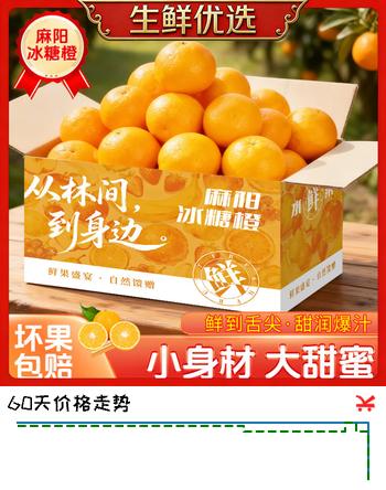 天乐优选湖南酸甜橙子冰糖橙新鲜橙子水果当季整箱果冻甜橙爆汁 整箱5斤单果60-65克净重4.5斤