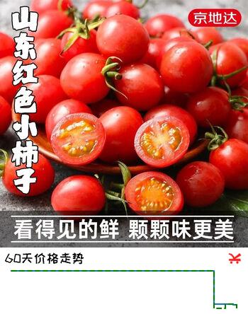 京地达山东红色小西红柿樱桃番茄净重2.8斤单果5g+源头直发包邮