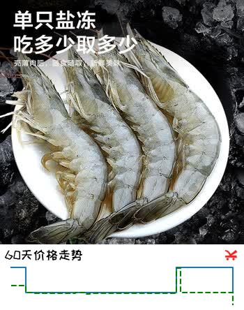 一虾一世界国产海捕大虾 鲜活冷冻白虾青虾对虾基围虾 单只超大虾类烧烤食材 气冻大虾 3斤(净重)  【超大15-17cm】
