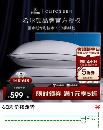 康尔馨希尔顿微笑枕 羽绒枕头A类100支面料95%白鹅绒枕芯 单只74*48cm