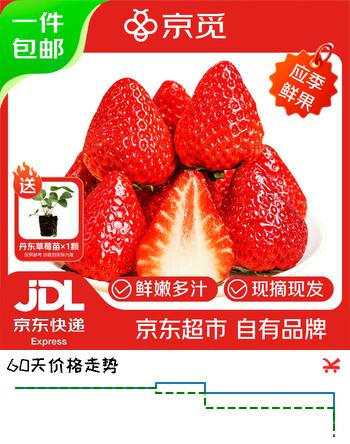 京觅 丹东草莓99红颜奶油水果礼盒生鲜 2.8斤装 单果20-30g源头直发
