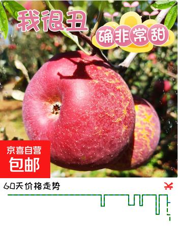 正宗红富士丑苹果脆爽多汁应季红富士苹果新鲜苹果多仓混发 整箱2斤净重1.7斤A+级中果【果径70-75】